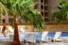 Studio in Dubai - Beautiful Dubai Short Term Apartment by the JBR Walk